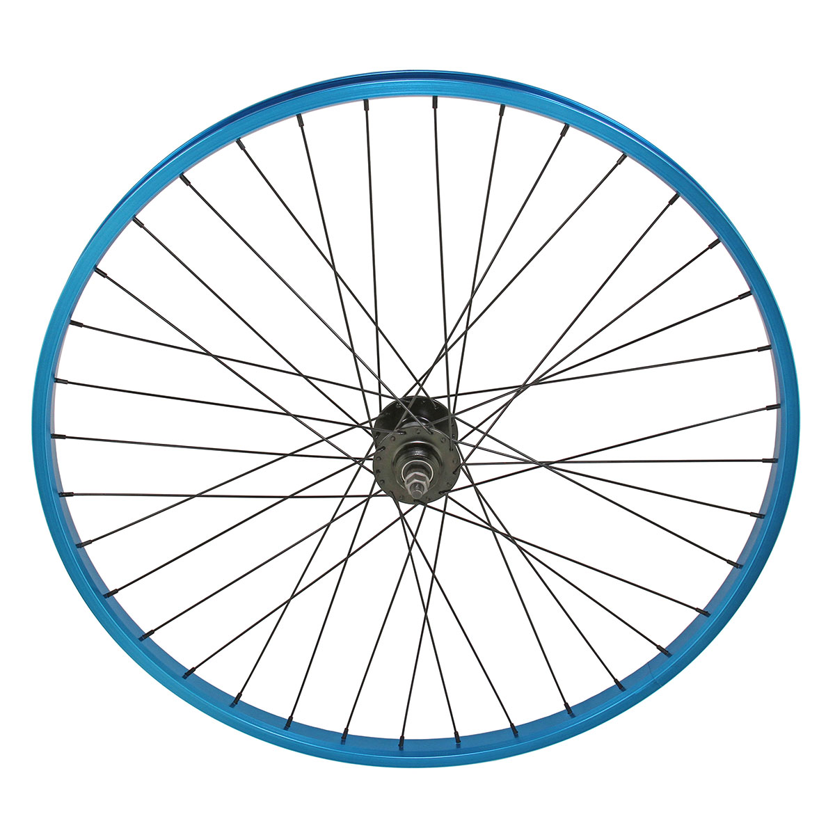 29 Inch x 30mm Alloy 1 speed Free Wheel 36 Spoke 14G Blue...
